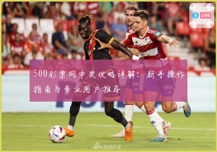 500彩票网中奖攻略详解：新手操作指南与专业用户推荐