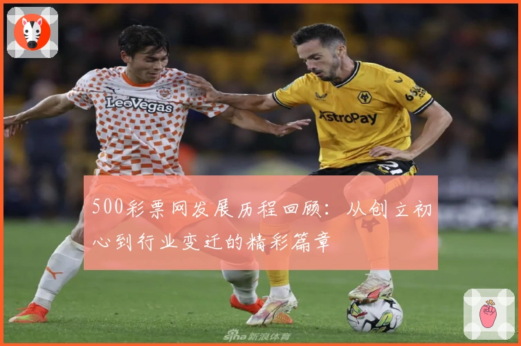 500彩票网发展历程回顾：从创立初心到行业变迁的精彩篇章