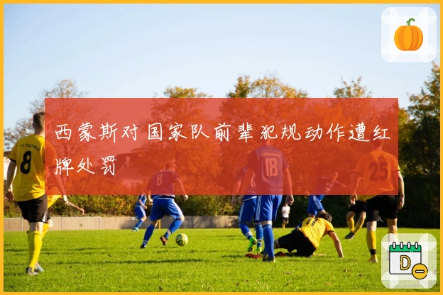 西蒙斯对国家队前辈犯规动作遭红牌处罚